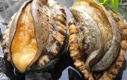 网红瓜的网站 并开发浏览器插件生态