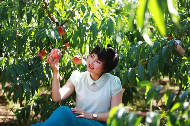 国产精品h在线播放