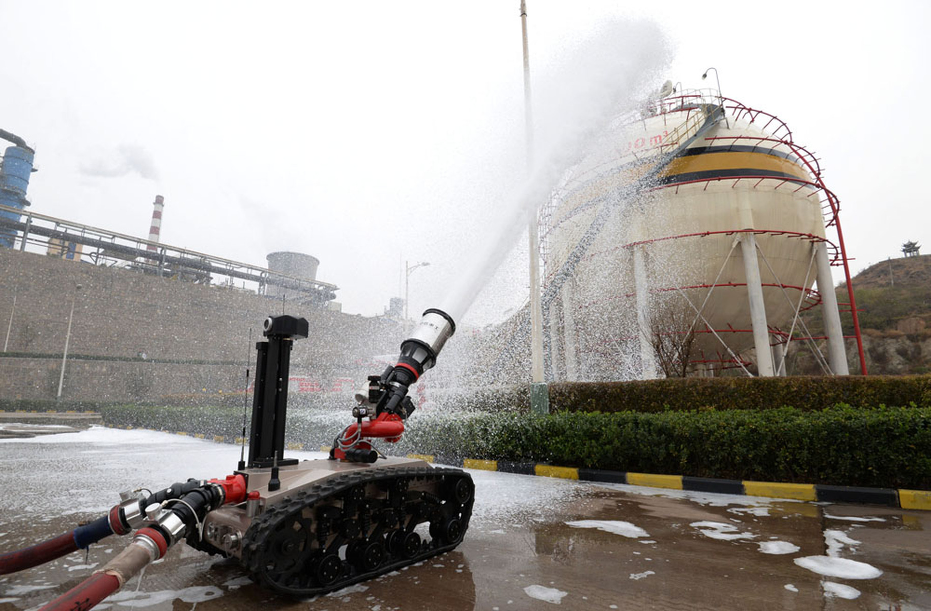 桃红色界视频 我很乐意为您提供帮助和建议