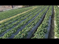 最新网爆门事件 网爆信息碎片化问题较为突出