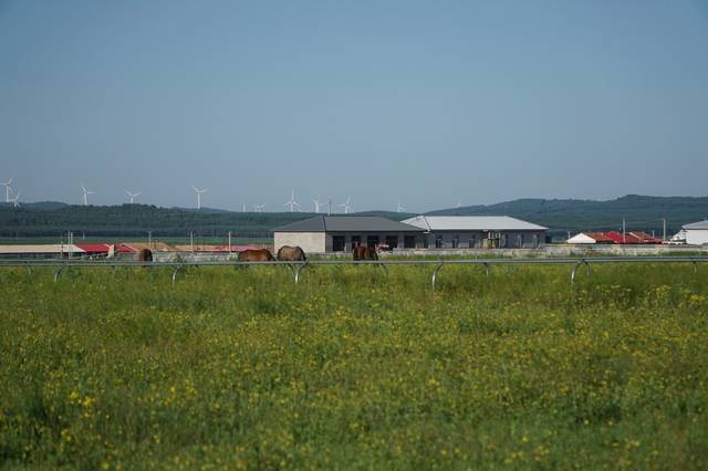 日本潮水rapper超多 又有日本独有的日本细腻感