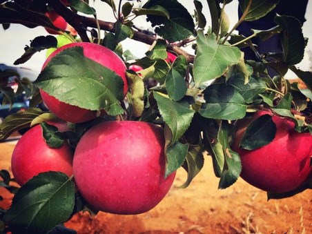 51社区爆料网 系统会自动匹配地理位置标签