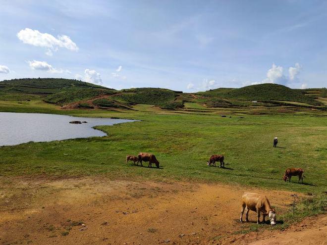 火影黄 火影黄且多数平台禁止传播