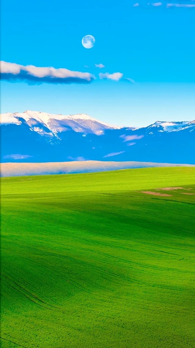 火影黄 火影黄且多数平台禁止传播