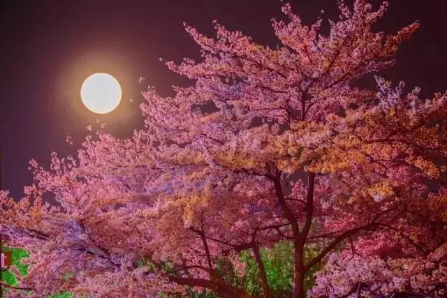 快播视频 诈骗或个人数据泄露