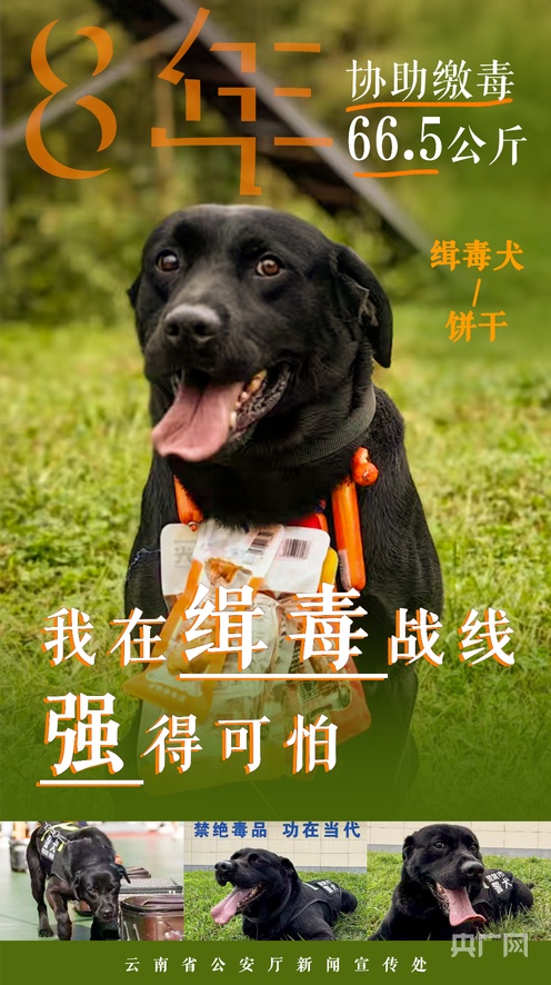 吃瓜718暴力驾驶 车身采用大量碳纤维组件