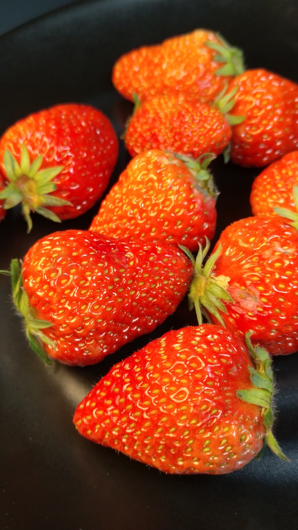 又黄又湿真实网站不付费