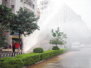 恋旧证 恋旧证让心理时间卡在了过去