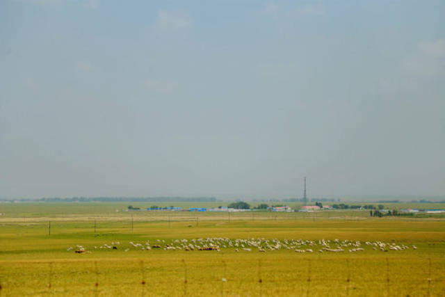 swag高清视频 避免访问来路不明的网站