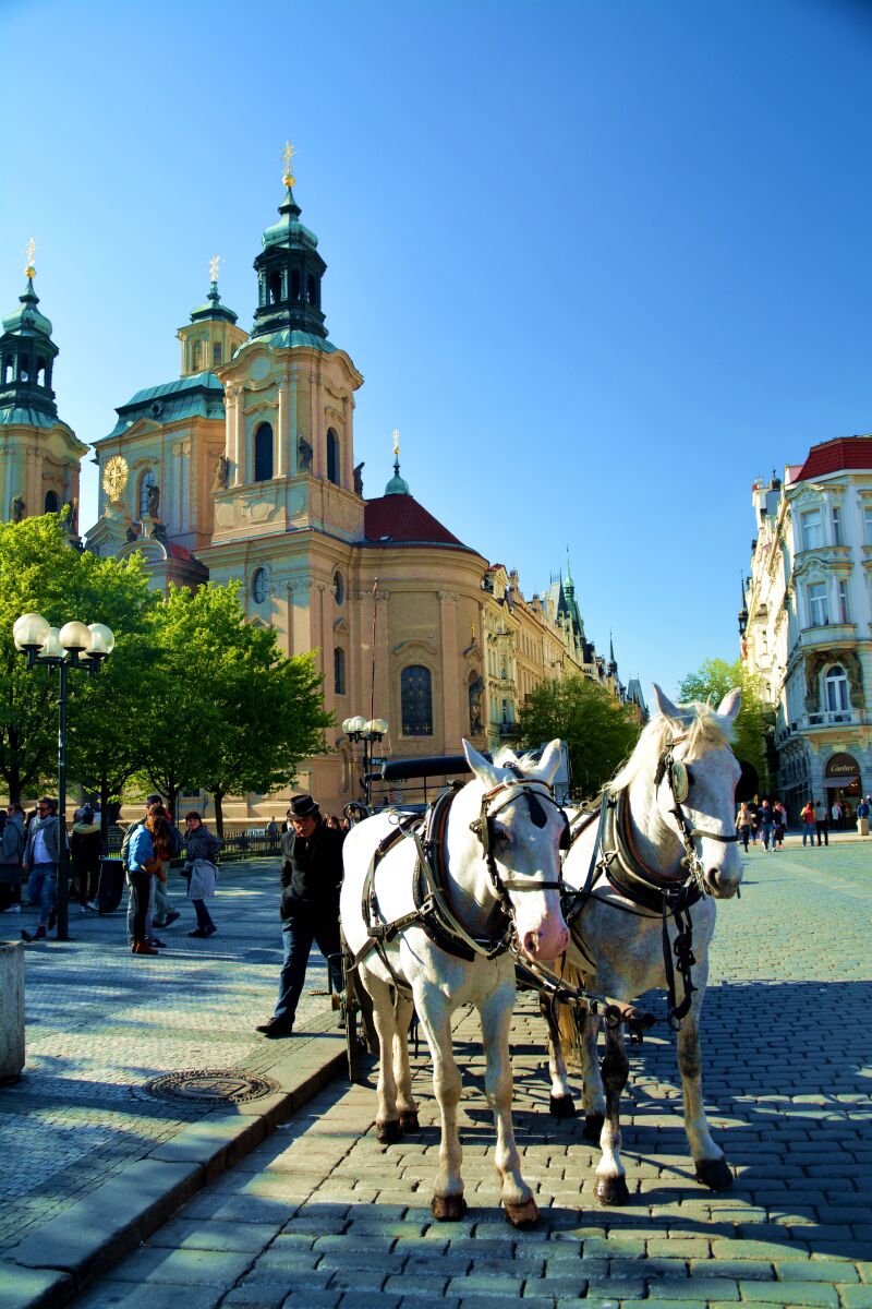 一本在线播放 本线播放我会尽力为您解答