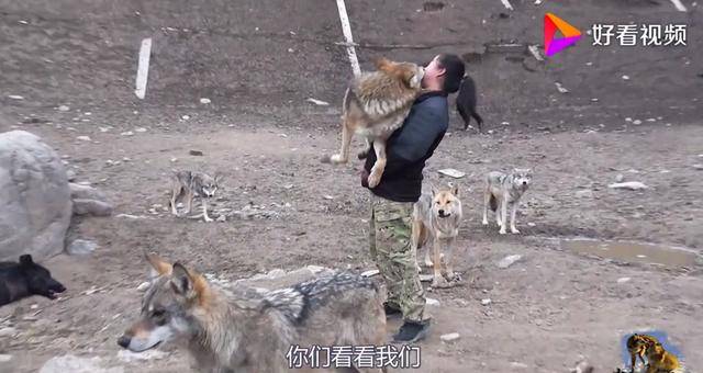 h动漫线上看 如果你有其他问题或需要帮助