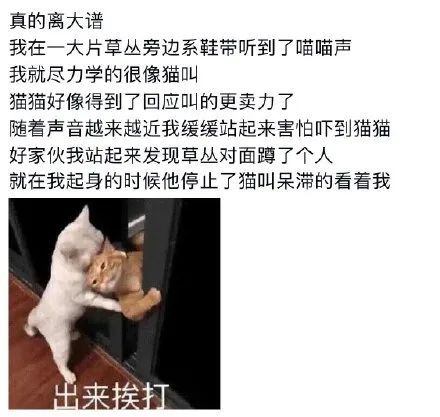 综合 中文字幕 无码 亚洲 成为影视爱好者的无码首选