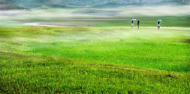 撞击声水声 仿佛情绪被温柔消解