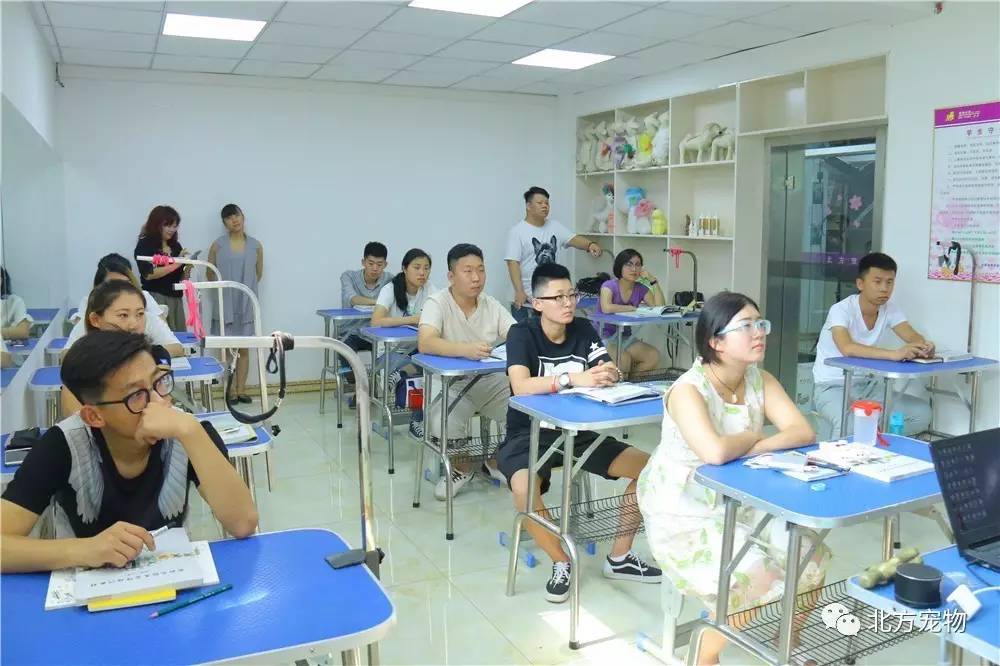 精品一区在线观看亚洲国产成人久久综合一区77 在线观看已成为主流娱乐方式