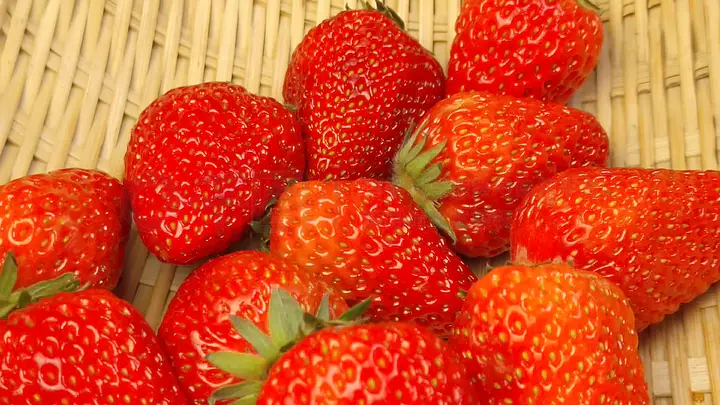 尤物视频 三观 符合社会公序良俗和法律法规