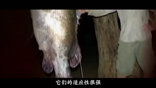 海角社区瓜老师 让学习融入日常生活场景