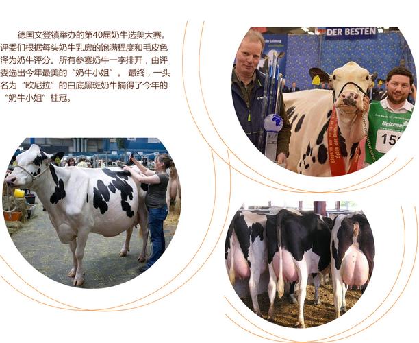 免费网站18禁真人床震无遮挡 保护好自己的免费设备和隐私