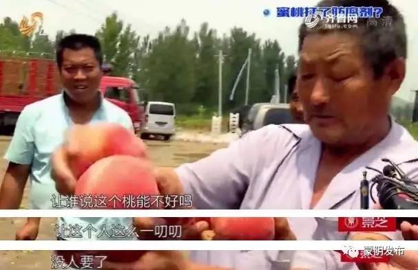 小狗困困 避免兴奋傍晚减少激烈玩耍