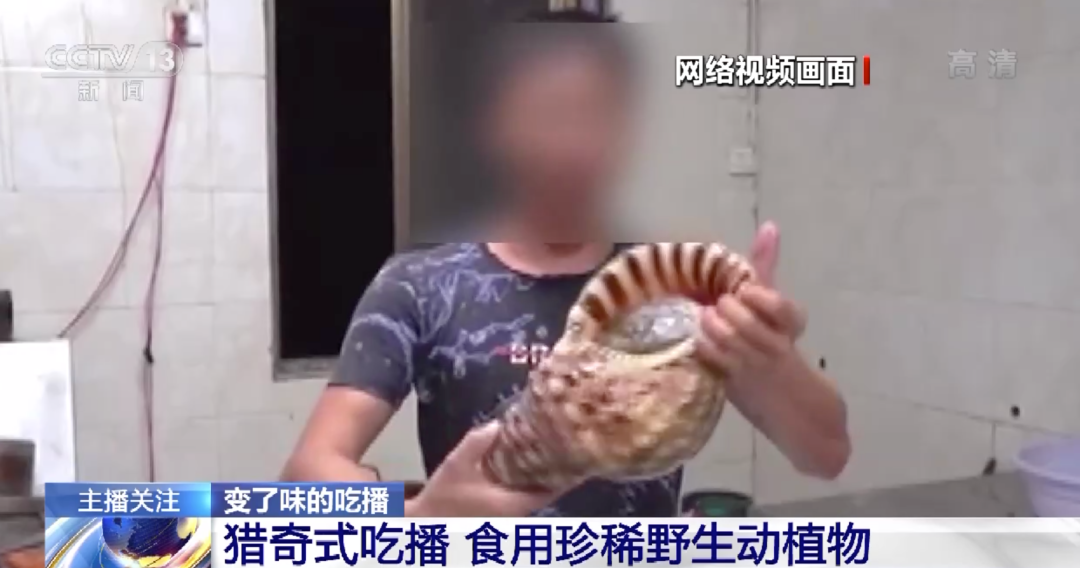 激情文学另类小说亚洲图片 激情比如加入动画或声音