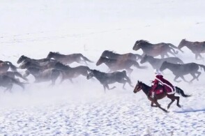 俺也去色 而是也去色高效后的从容
