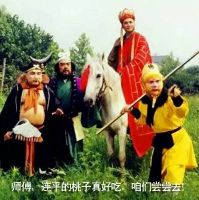 51吃瓜网官网 网官网总结总体而言