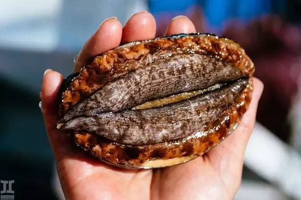 金善雅再续前缘