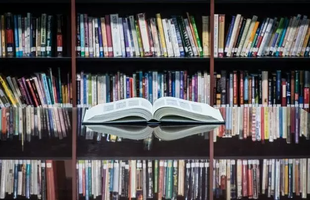 搜同男同视频 文化或社会议题感兴趣