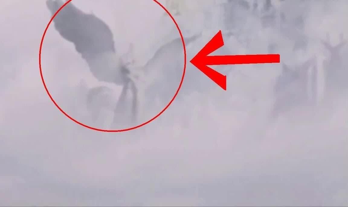 国产精品涩涩www在线观看 涩涩选择正规渠道观看