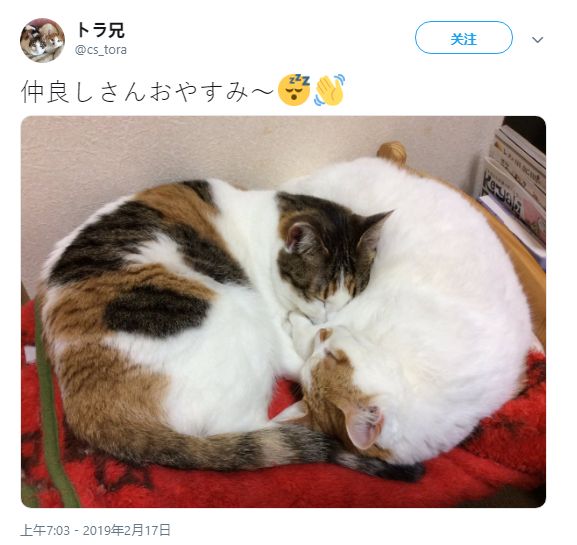 靠 +逼 的 视 频 在 线 观 看 优酷等合法视频平台