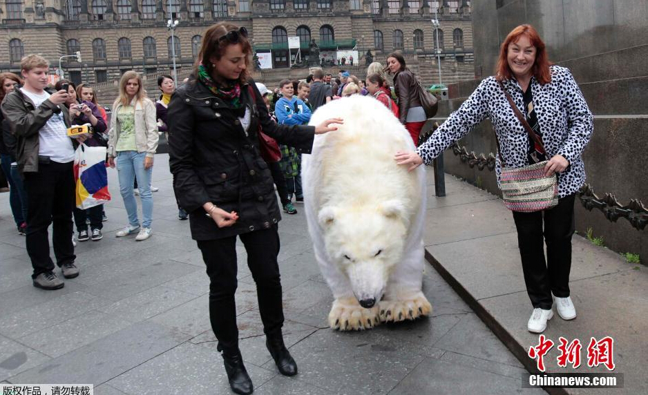 菏泽市顺田食品有限公司 招标