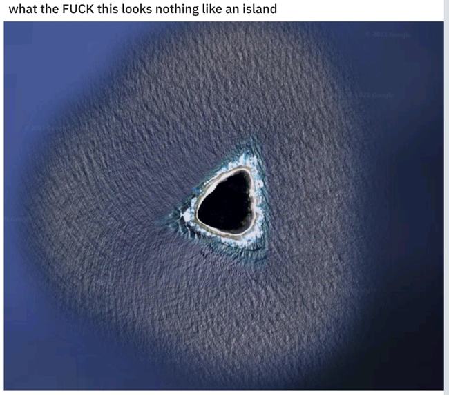 啄木鸟avec 强调“共同参与”的概念