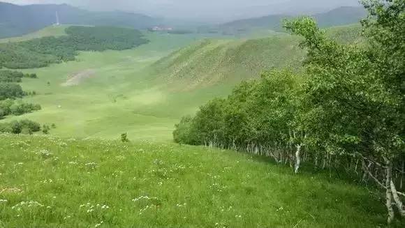 在线免费观看 费观弹窗广告是线免主要痛点