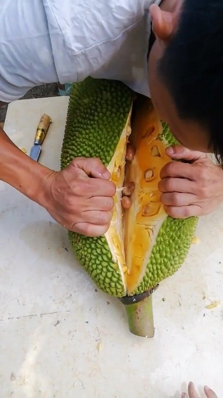 里番最新在线 请和我们一起遵守法律法规