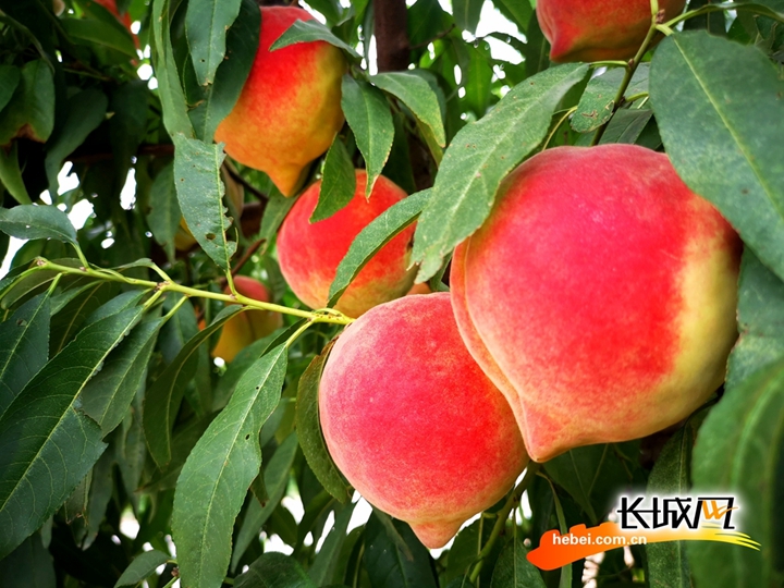 男人J桶进男人屁股过程 进男痛感会大大降低