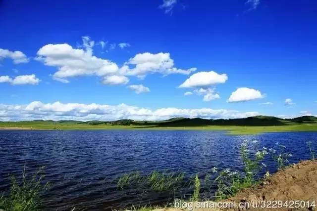 国产V亚洲V天堂无码-.