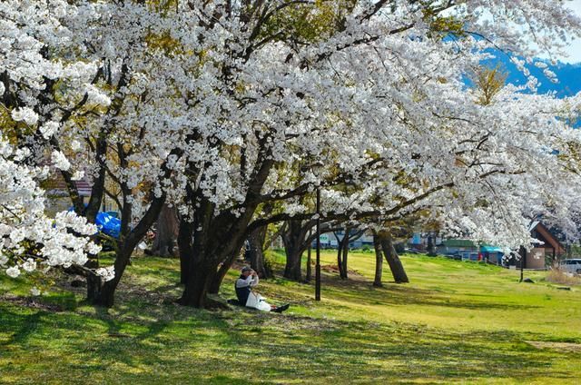 国产精品久久久无码不卡 无论是数码设备运行的无延迟