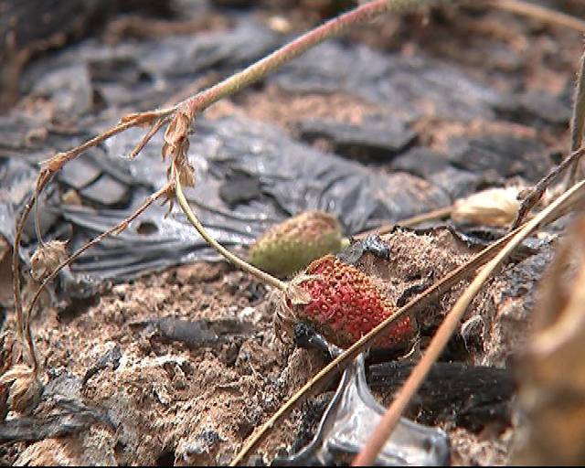 乖犬视频 乖犬视频尊重原创作者