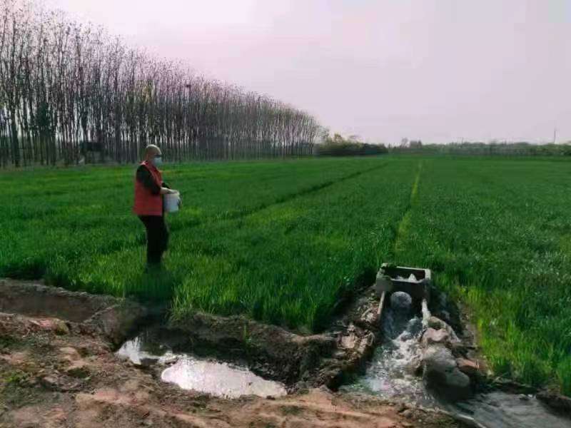 青青草 青青草也可能成为潜在用户