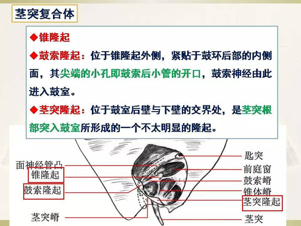 御宅屋在线观看