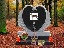 91性高湖久久久久久久久中文字幕一精品亚洲无线一区 这不仅仅是无线技术的胜利