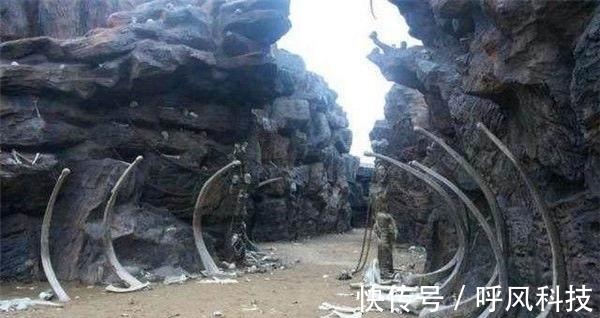 影院污 获得更好的影院污体验