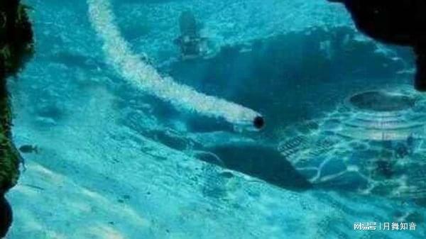 无限臂山在线观看进入