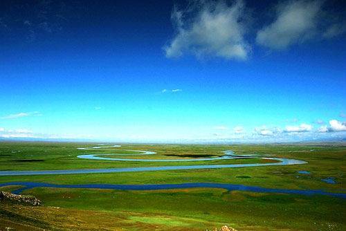 蜜桃+视 频 mogu tv