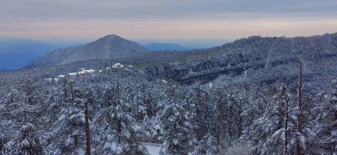 秋天里的春光 vladimír michálek 深度解析 艺术风格 影评