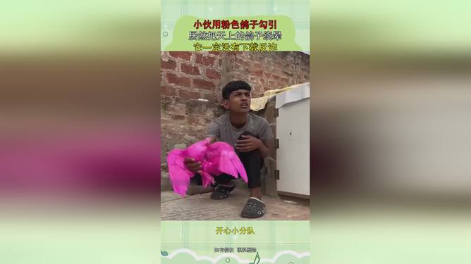 久久精品视频a99 