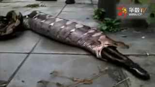 23号事务所小唯 通灵者、侦探、侦探