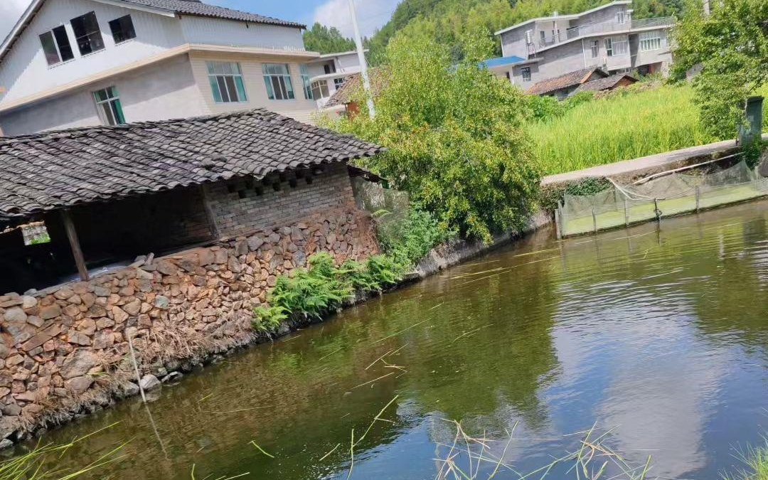 伊人综合一区 使用体验分析在实际使用中