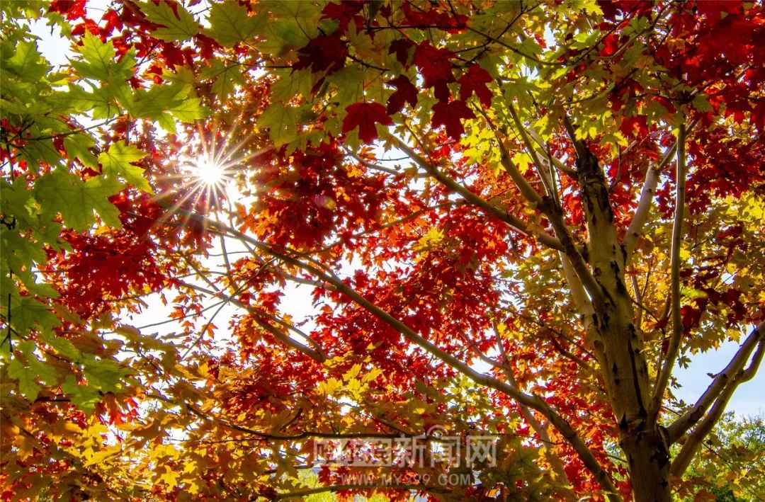 雨后小故事的动图