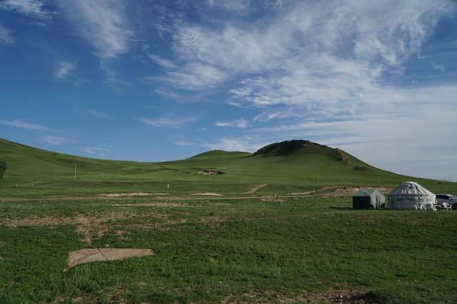 男同熊 男同熊从结实到胖壮都有可能