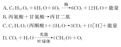 蜜桃视频免费 恶意软件或不良信息